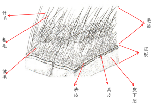 yth2206游艇会·(中国区)官方网站