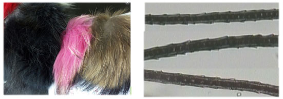 yth2206游艇会·(中国区)官方网站