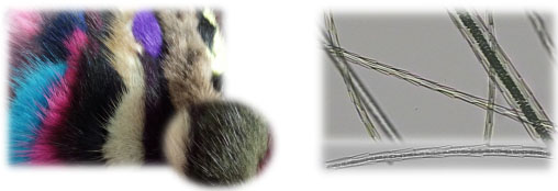 yth2206游艇会·(中国区)官方网站