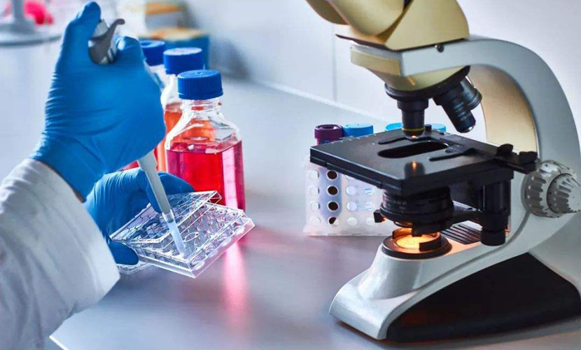 七种新物质将参与欧盟SVHC清单