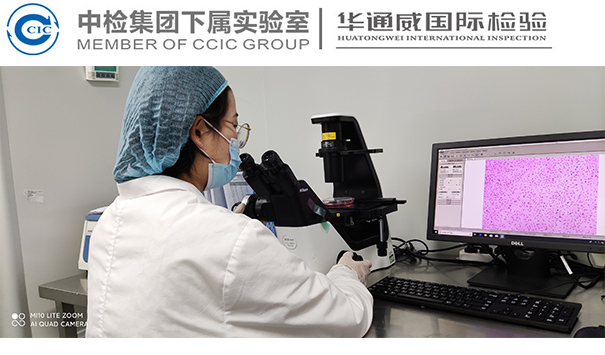 食品中蛋白质的测定