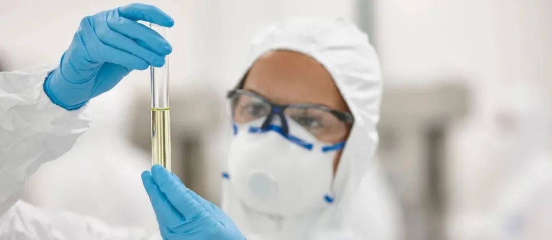 yth2206游艇会·(中国区)官方网站