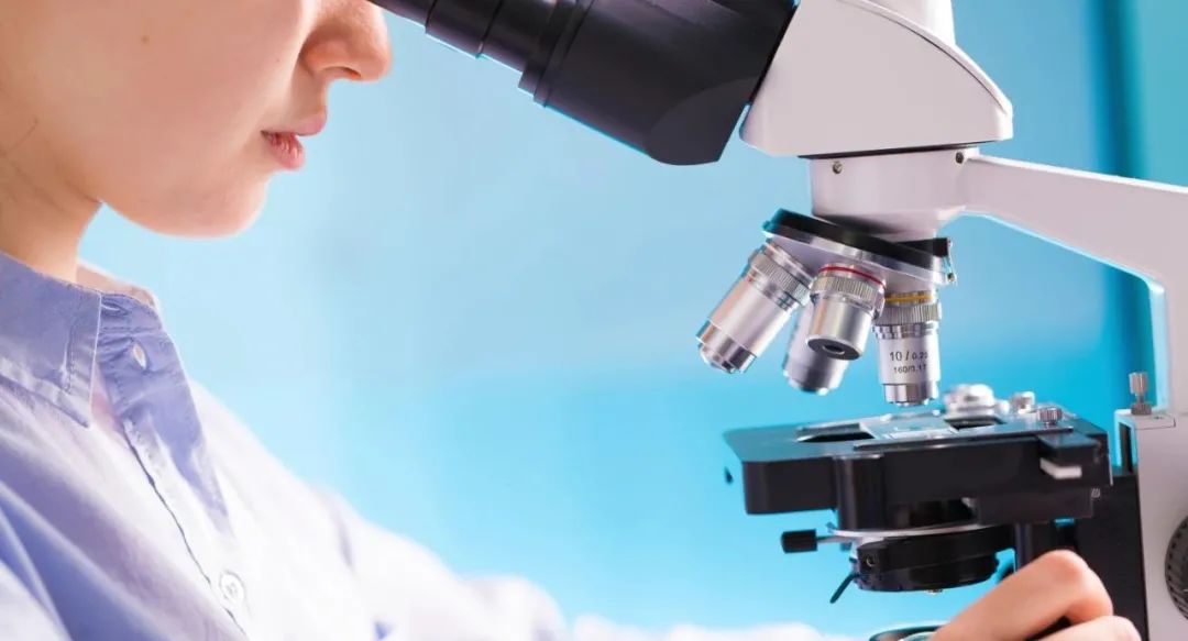 yth2206游艇会·(中国区)官方网站